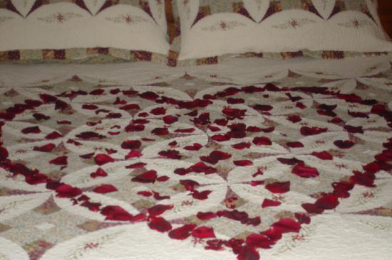 rose-petals-on-the-kings